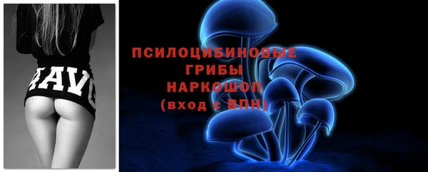трава Армянск