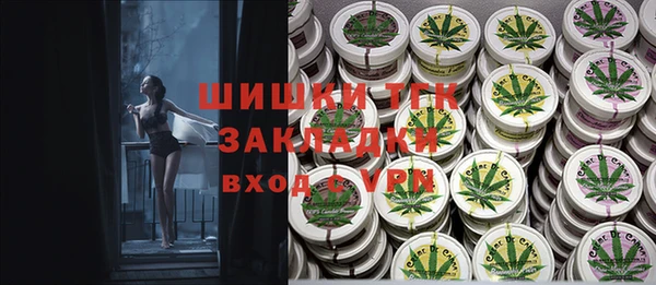 стаф Покачи