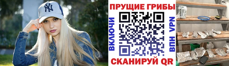 Галлюциногенные грибы GOLDEN TEACHER  где купить   Сольцы 
